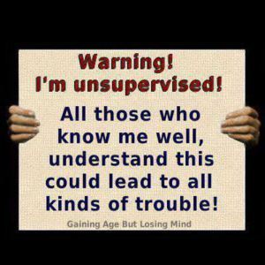 warning I'm unsupervised