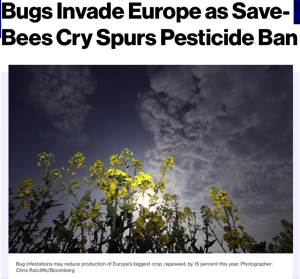 Screenshot 2015 05 31 17 47 06