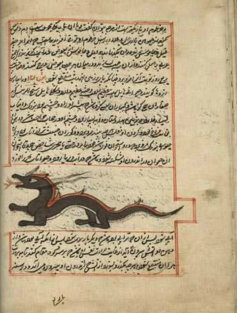 A dragon