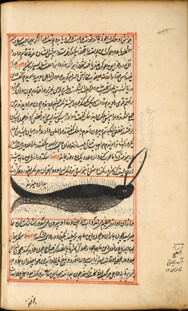 A sea monster