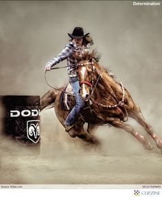 I want to learn how to barrel race again. It's been to long & sure it'll come back like riding a bike