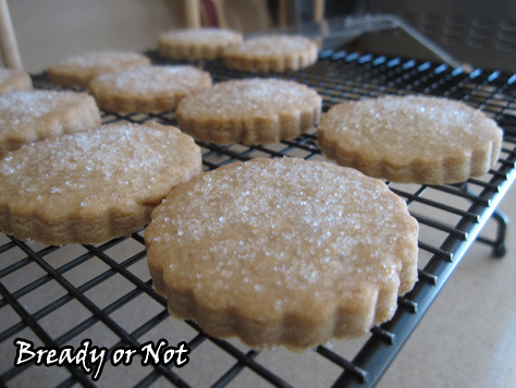 Maple Sugar Shortbread5_sm