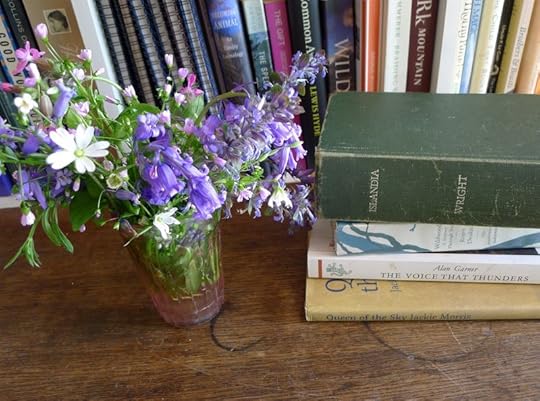 Wildflowers