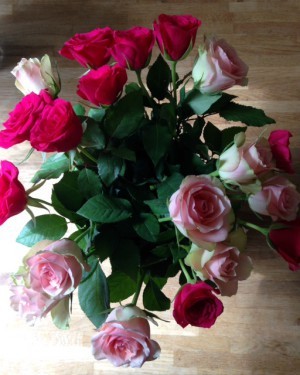 Rosor. Köpte två buketter på Ica igår. Instant humörhöjare.