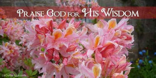 Praise God for His Wisdom