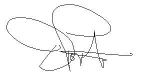 dp_signature_2