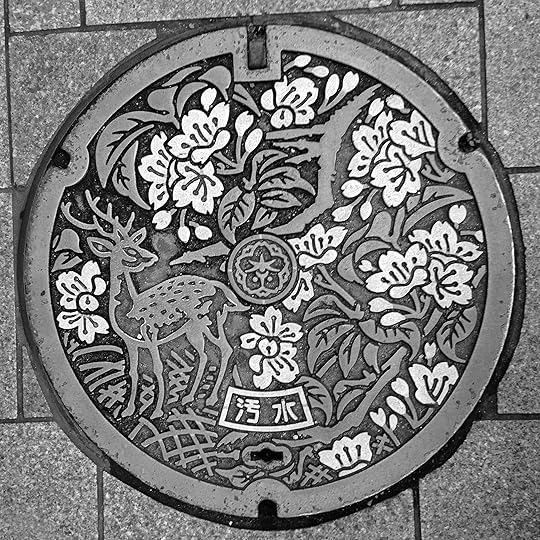 Manhole Cover, Nara, Japan © Harold Davis