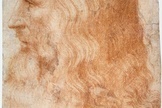 A portrait of Leonardo da Vinci created by Francesco Melzi during Leonardo’s lifetime. 