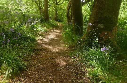 Woodland 10