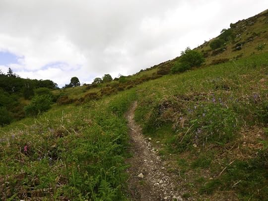 Hill 1