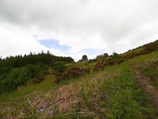 Hill 2