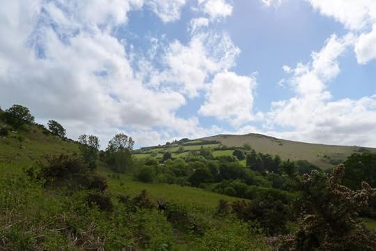 Hill 5
