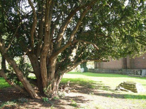 Plague Pit by the Thames by Flickering Lamps