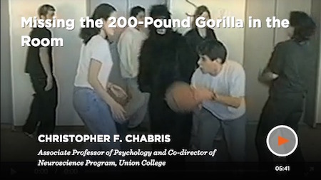 gorilla