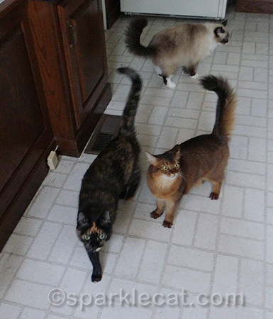 Breakfast - the gang's all here
