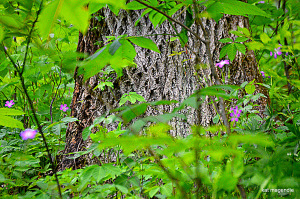 misc dale and kat etc 147