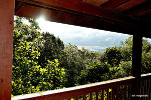 misc dale and kat etc 223