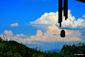 misc dale and kat etc 170