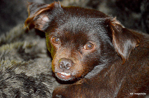 misc dale and kat etc 094