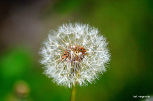 misc dale and kat etc 066