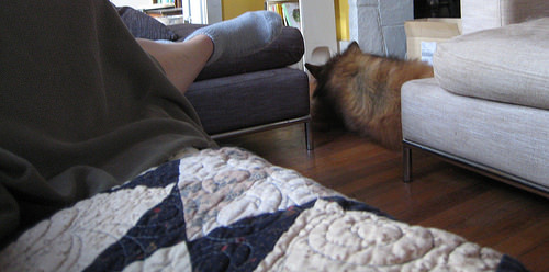 an August nap