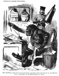 Irishman as Monkey: John Tenniel's satirical cartoon published in Punch sometime between 1845 - 1852