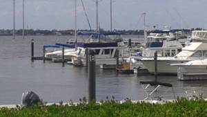 marinaleap
