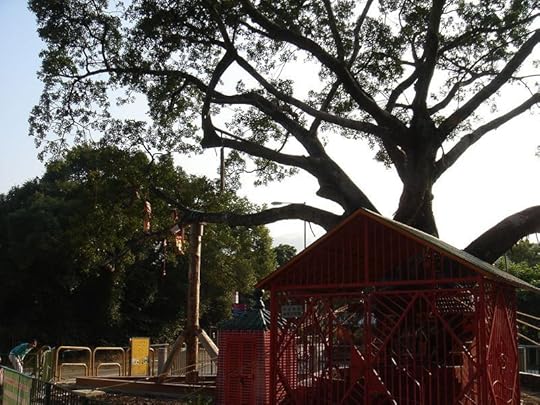 The Wishing Tree shrine near the Tin Hau Temple