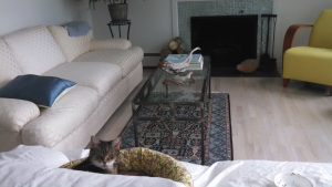 IMG_20150603_084156_316