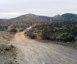 desert