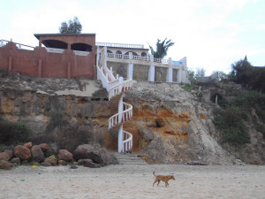 dog and spiral staircase
