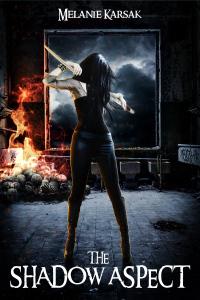 High Res Final Ebook Cover the shadow aspect