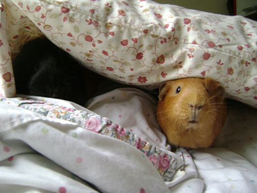 Murderface and Pickles demonstrate the ways to respond to an impromptu sax solo – hiding… or surprise. 