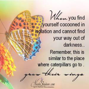 11392912_891474590914601_4274447262341755268_n