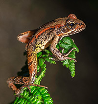 Photo by Dottie Tison