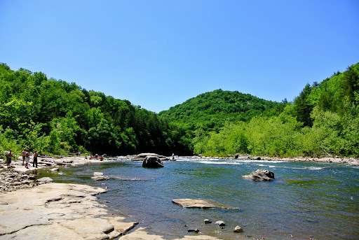 Intrigued by the Harmony of Nature and Lives at Ohiopyle State Park