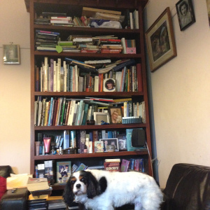 Sparks, defending some of my books -small