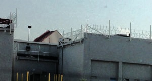 walmart-jade_helm