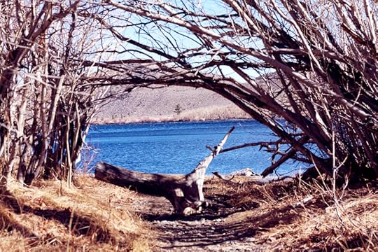 Lake Convict, Mammoth