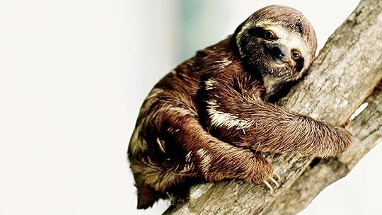 MAY15_29_144862048_a