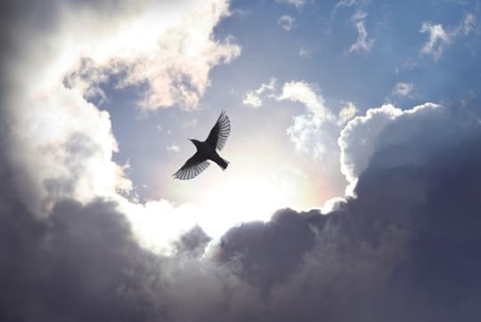A bird spreads its wings and fly to heaven trough dramatic cloudscape.
