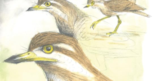 Screen-Shot-2015-05-18-at-2.14.05-PM-620x330