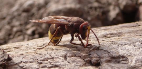 Screen Shot 2015-06-05 at 9.02.39 AM