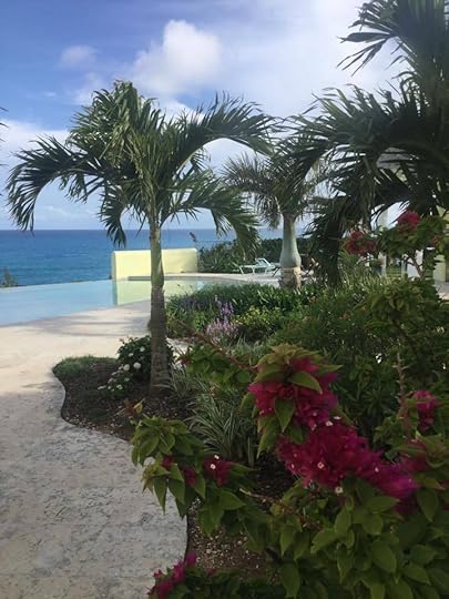 11182195_10152728236925899_5426063156110667011_n