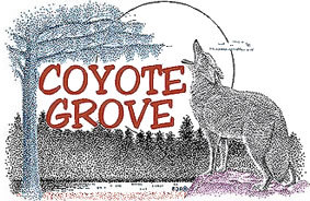 coyote3