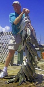 Doug and Pat helped me catch these.
