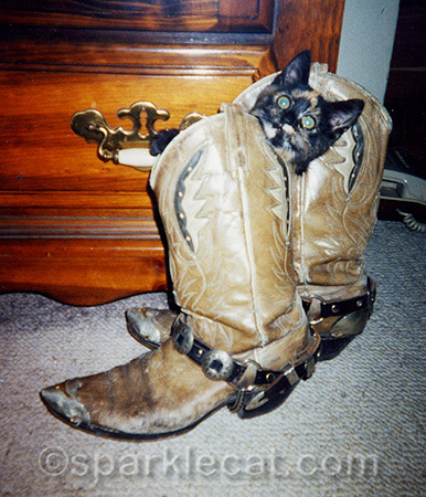My human's boyfriend still has those boots