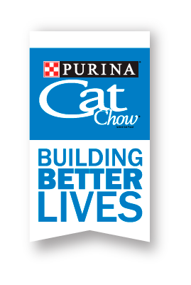 Building Better Lives logo