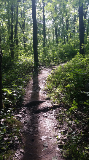 After Emma Carlin, some single track.