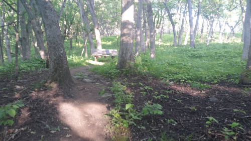 The top of the hill just before Bluff.